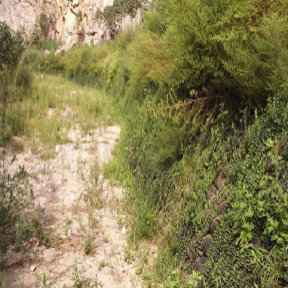 边坡生态修复设计与施工(2007)
Design & construction for slope ecological restoration 边坡生态修复设计与施工(2007)
Design & construction for slope ecological restoration